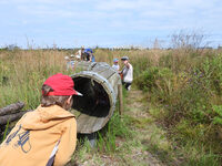 A la découverte d’Izadia pour les petits à Anglet