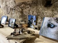 Découverte de la grange du musher à Oloron-Sainte-Marie