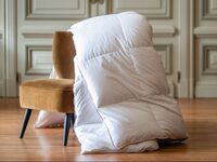 Visite guidée : Manufacture Castex à Dax