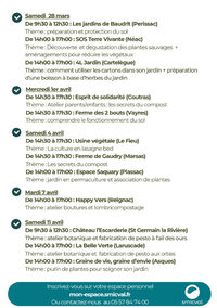 Jardiner au naturel : atelier botanique et fabrication de pesto à l'ail des ours à Saint-Germain-de-la-Rivière