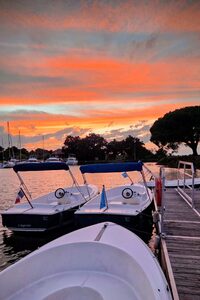 Bateau électrique sans permis : Sortie crépusculaire à Le Teich