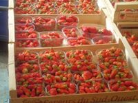 Marché traditionnel du Mercredi à Villeneuve-de-Marsan