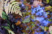 Sortie Nature : Biodiversité en carrière à La Crèche
