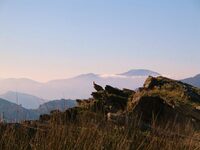 Randonnée accompagnée Mendi Gaiak : sur les traces des vautours à Ossès