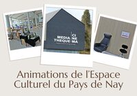 Balade muséale « Muséum d'Orléans pour la Biodiversité et l'Environnement » à Nay