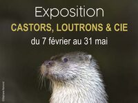 Musée L'Abbaye - Atelier - Ma rivière en papier à Mauléon