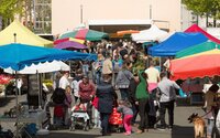 Marché traditionnel à Mauléon-Licharre