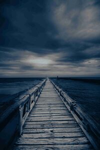 Festival du Conte / Agence de Géographie Affective - Radio Estacade (visites lib à Capbreton