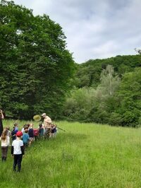 Sur la piste des abeilles sauvages à Saint-Jory-de-Chalais