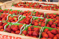 Marché de Quintaou à Anglet