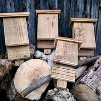 Un abri pour nos amies les chauves-souris à Grenade-sur-l'Adour