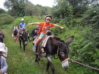 Fermier du dimanche, à la ferme Bibane à Méracq
