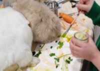 Atelier des p'tits curieux : "Immersion à la ferme : Une palette de couleur pour à Saint-Germain-de-la-Rivière