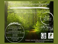 Sortie sylvothérapie : les bienfaits des arbres sur notre santé à Cessac