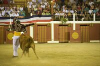 Les arènes de Gamarde les Bains avec Jean-Pierre à Gamarde-les-Bains