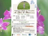Visite des orchidées du sentier de Monco à Auros