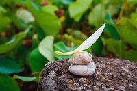 Atelier Land'art à Magnac-Laval