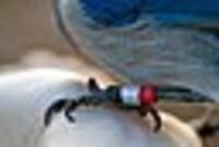 Portes ouvertes : station de baguage à Sainte-Soline