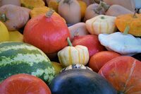 Marché traditionnel hebdomadaire à Angoisse