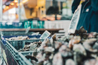 Marché de Quintaou à Anglet