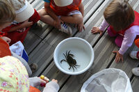 Rencontre biodiversité à Anglet