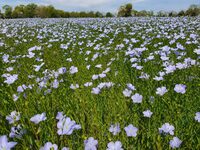 100 lieux 100 massages : Ancrage en Pyrénées à Mesplède