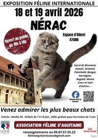 Exposition féline internationale à Nérac