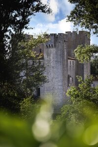 Visite famille du Moulin des Tours : à l'assaut du moulin à Nérac