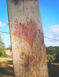 Les mots vagabonds à La Souterraine