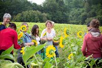 Visite et Atelier : Découvrez les plantes médicinales et fabriquez votre savon à Saint-Genest-sur-Roselle