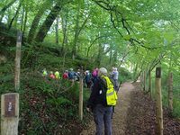 Visite du site archéologique des grottes du Pape - Randonnée à Brassempouy