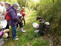 Balade "Sur la piste des habitants des chemins" à Saint-Martin-l'Ars