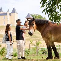 Nourrir les animaux de la ferme et atelier créatif au Château Plain Point à Saint-Aignan