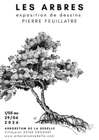 Exposition "les arbres" à Crozant