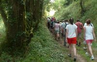 Dimanche Rando à Anzême