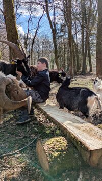 Atelier mini fermier à Bersac-sur-Rivalier