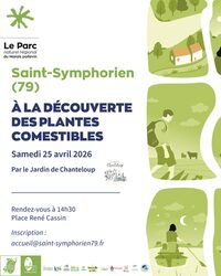 Balade nature "Découverte des plantes comestibles" à Saint-Symphorien à Saint-Symphorien