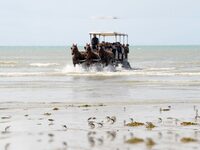 Attelages des Grandes Marées à Gouville-sur-Mer