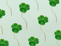 Session irlandaise à Coutances