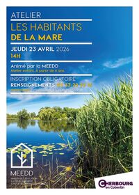 Les habitants de la mare à Cherbourg-en-Cotentin