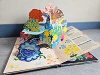 Lecture de pop-up à Saint-Pair-sur-Mer