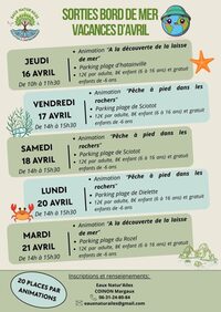 Pêche à pied dans les rochers à Les Pieux