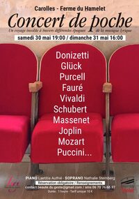 Concert de poche lyrique à Carolles