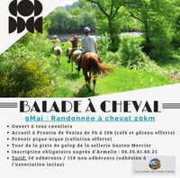 Randonnée à Cheval à Vézins-de-Lévézou