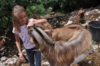 BOURSE AUX PLANTS 2026 à Rieumes