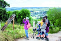 SORTIE NATURE - CRIS ET CHANTS D'OISEAUX à Saint-Chély-d'Apcher