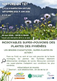 INCROYABLES SUPER-POUVOIRS DES PLANTES DES PYRÉNÉES à Prades