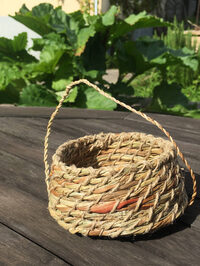 Vannerie spiralée cousue à Montgesoye