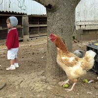 Rencontre-projection par le photographe Philippe Bazin à Bibracte à Saint-Léger-sous-Beuvray