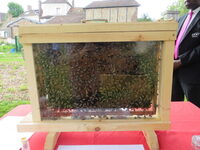 Exposition d’Apiculture à La Celle-Saint-Cloud